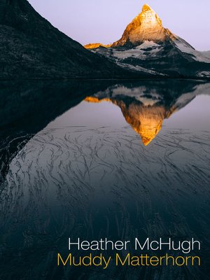 cover image of Muddy Matterhorn